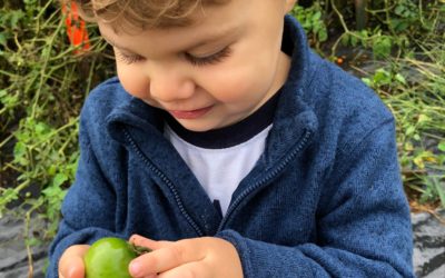 Gardening with small children: 6 tips to be successful