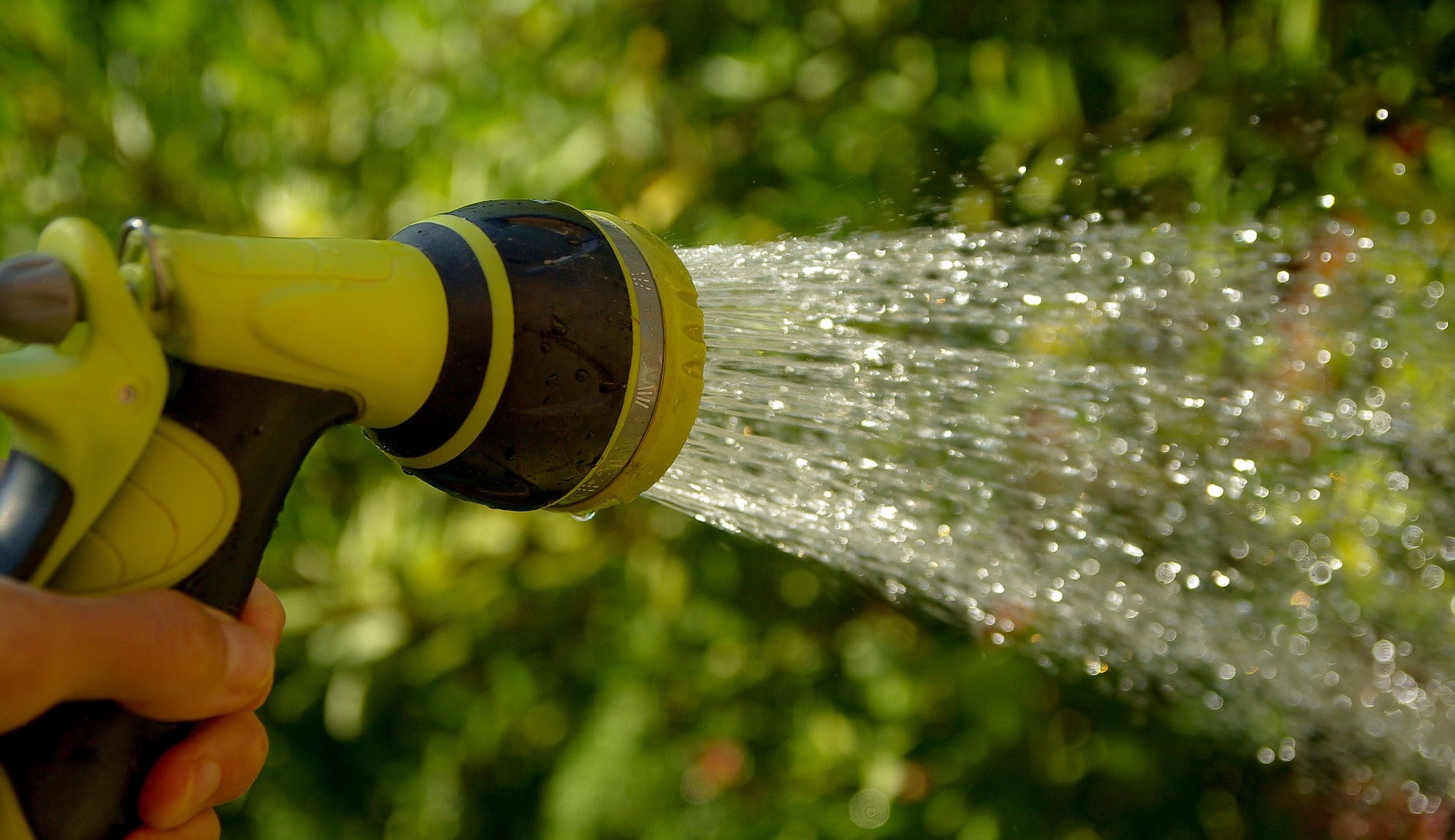 4-common-watering-mistakes-to-avoid-winging-it-on-the-homestead