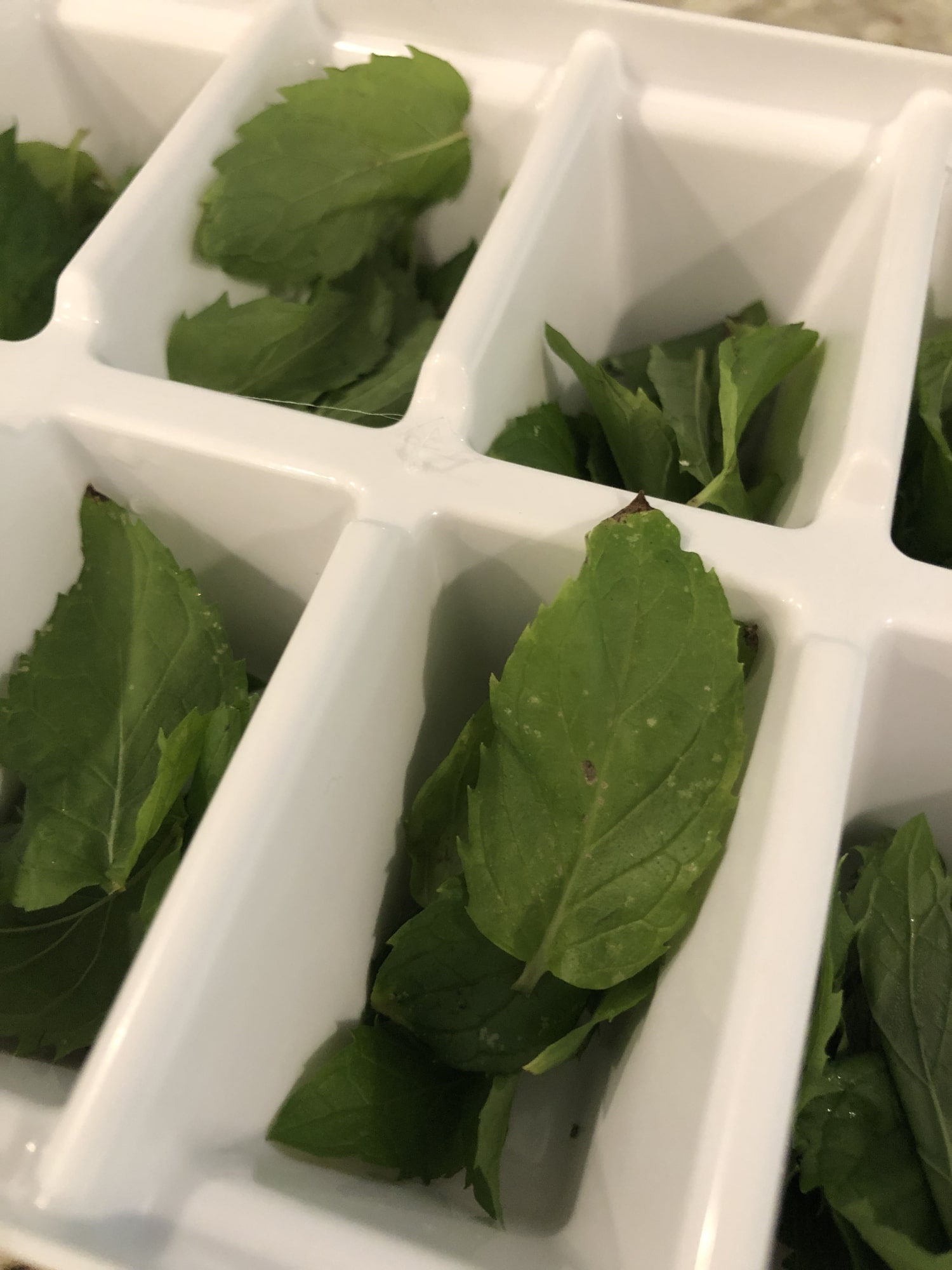 mint leaves in tray